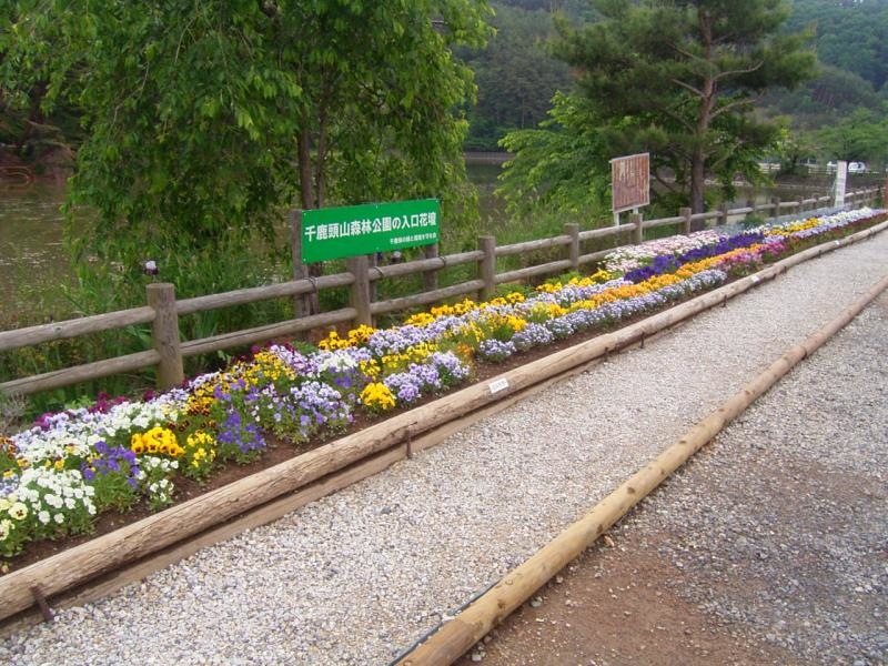 花壇