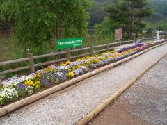 千鹿頭池