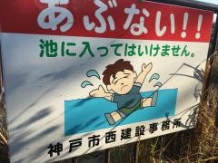 小寺緑地
