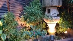Ｗａｋｉｙａ一笑美茶樓