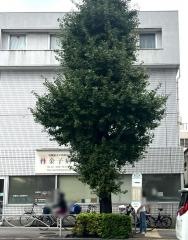 「ときわ台駅入口」バス停留所