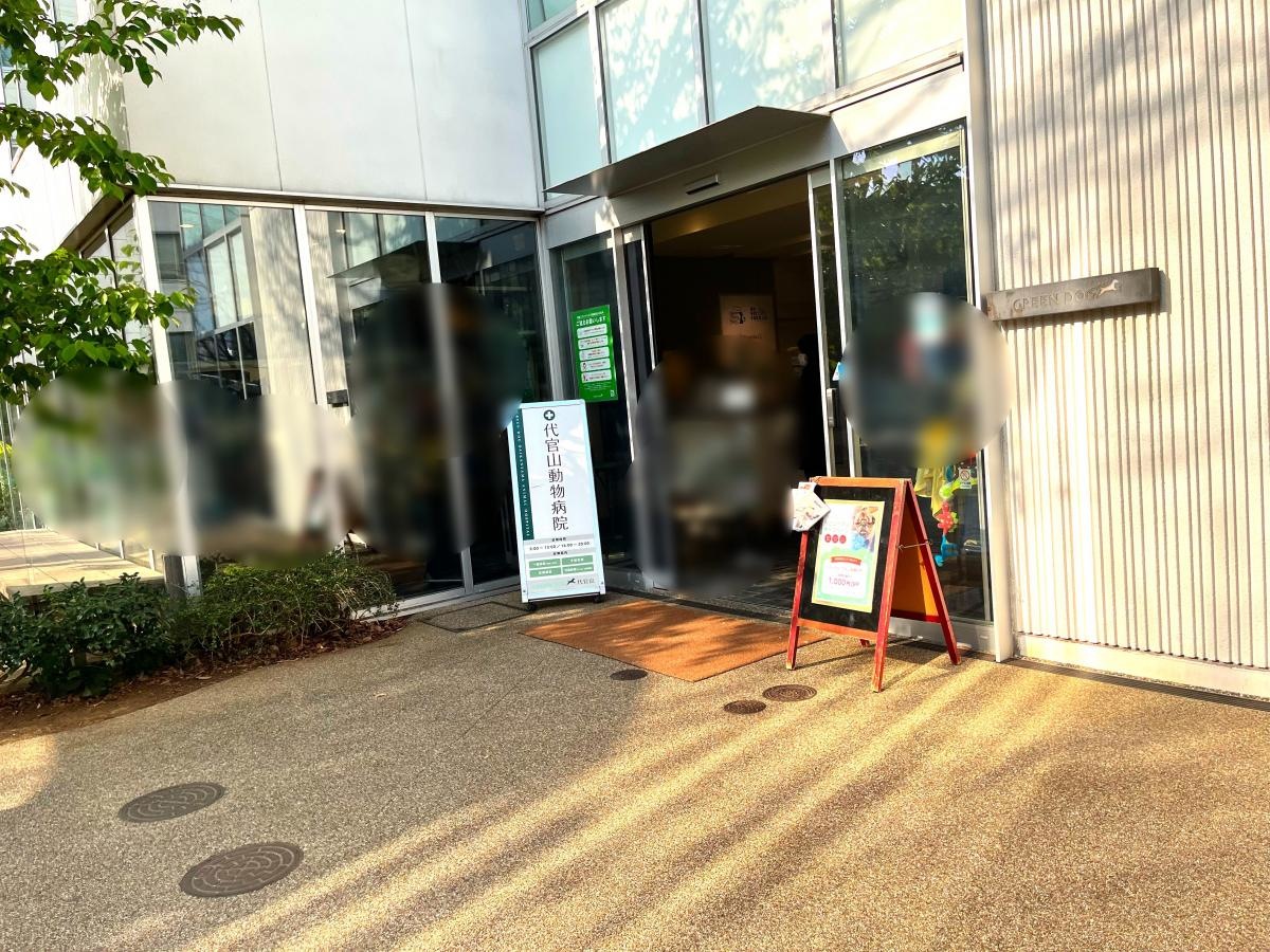 ガラス張り