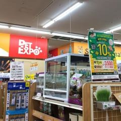 ペットエキスポ稲沢店