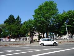 白石小学校