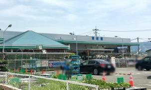 コメリハード＆グリーン　姉体店