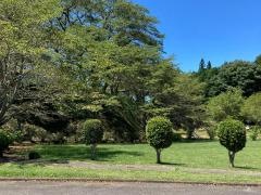 城山公園