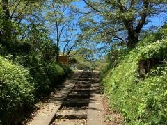 城山公園