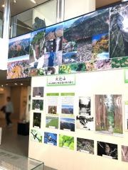 立山カルデラ砂防博物館