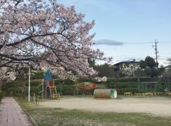 丸山公園
