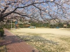 丸山公園