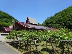 竹枝小学校