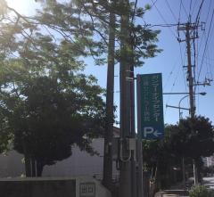 沖縄セントラル病院