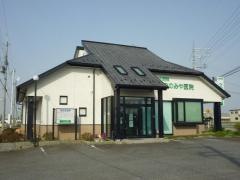 うつのみや医院