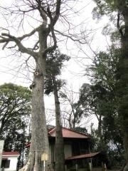 南金目神社
