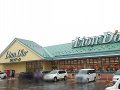 リオン・ドール坂下中央店