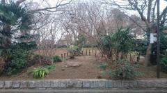 どんぐり山の森緑地