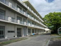 桜木小学校