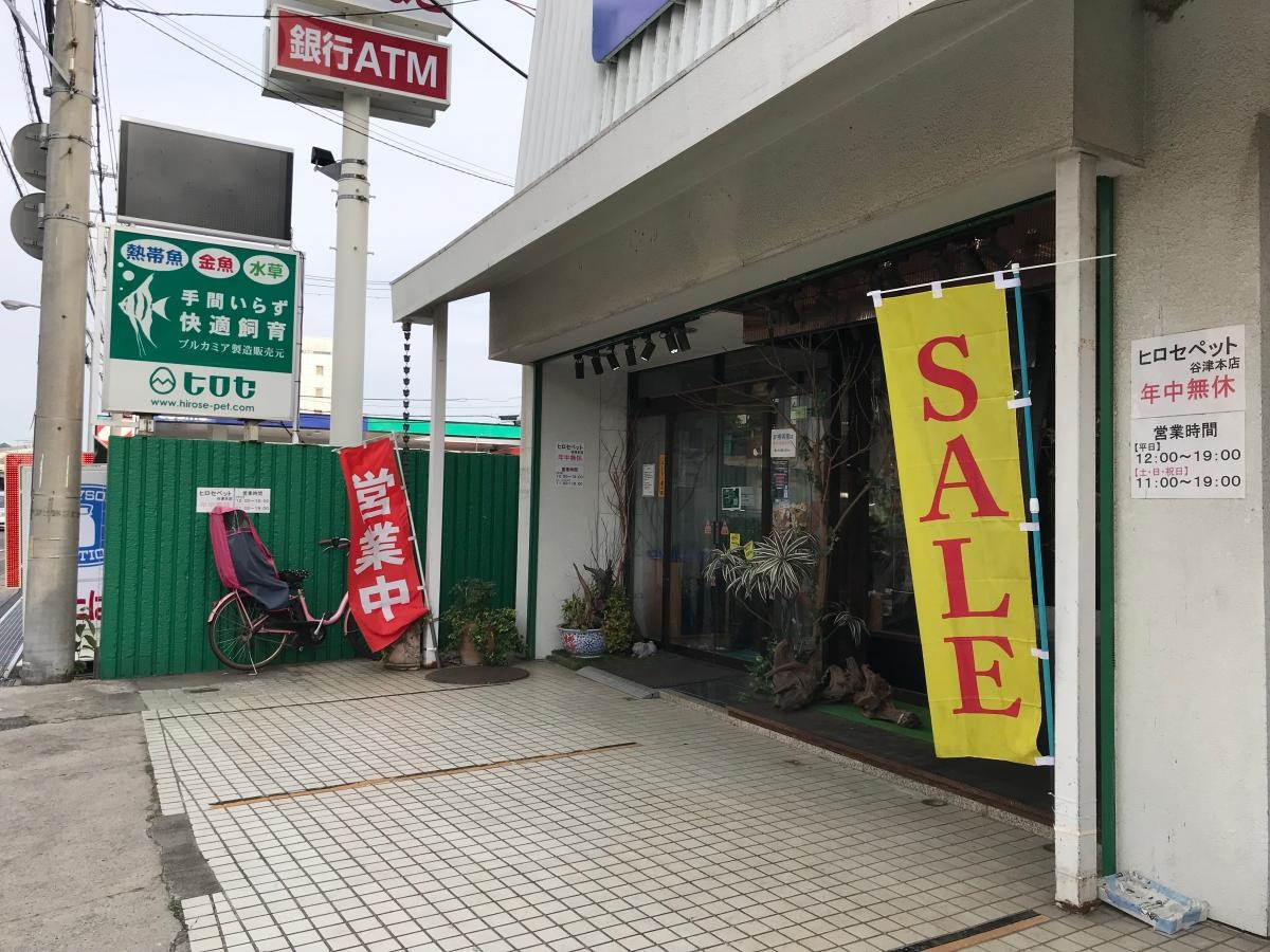 ヒロセペット