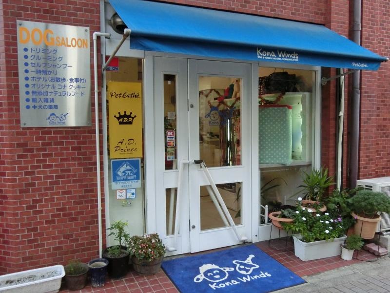 お店玄関！