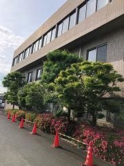 犬塚病院
