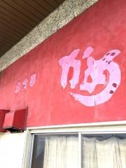 かめ食堂