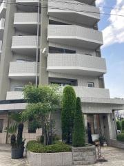 うーろんぱんだ整体院