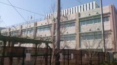 上北沢小学校