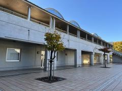 小田原市川東タウンセンターマロニエ
