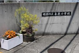 妻鹿小学校