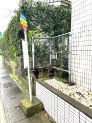 「谷山電停」バス停留所