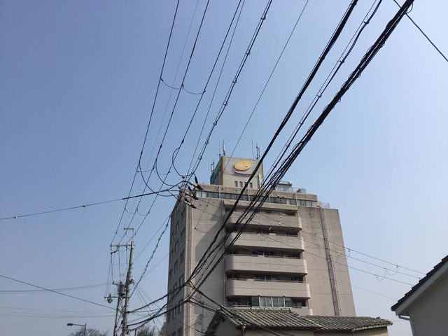 老健ひかり