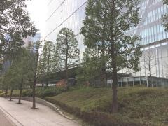 ソニーグループ株式会社