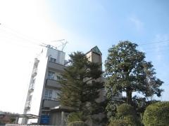 河原内科