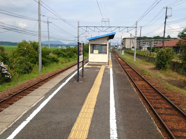 投稿写真8