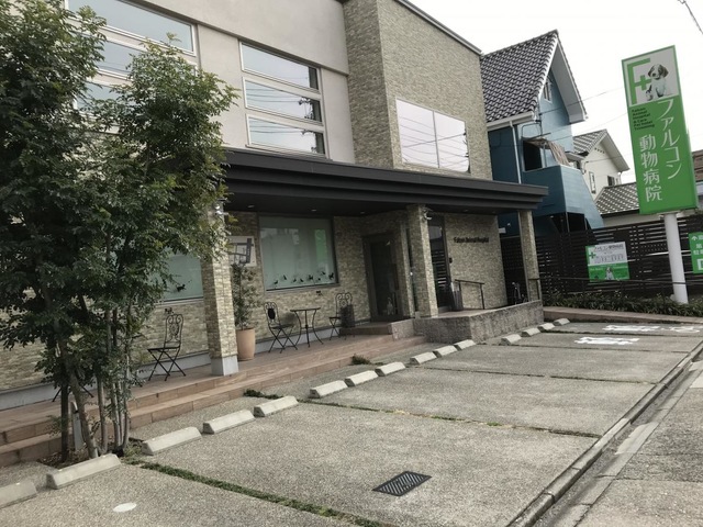 投稿写真6