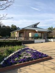 弁天ふれあいの森公園
