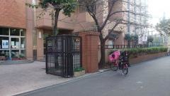 浅草小学校