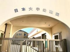 日本大学幼稚園