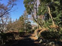 愛宕山緑地
