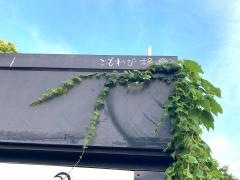 こもれび禄岸