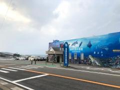 越前松島水族館
