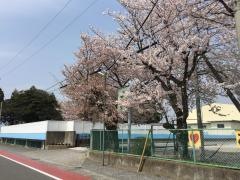 土貴野小学校