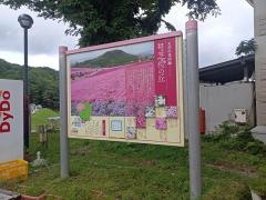 茶臼山高原