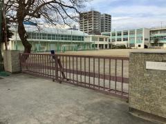 精義小学校