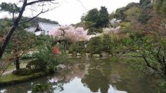 法金剛院