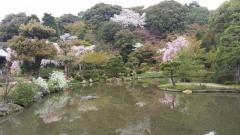 法金剛院