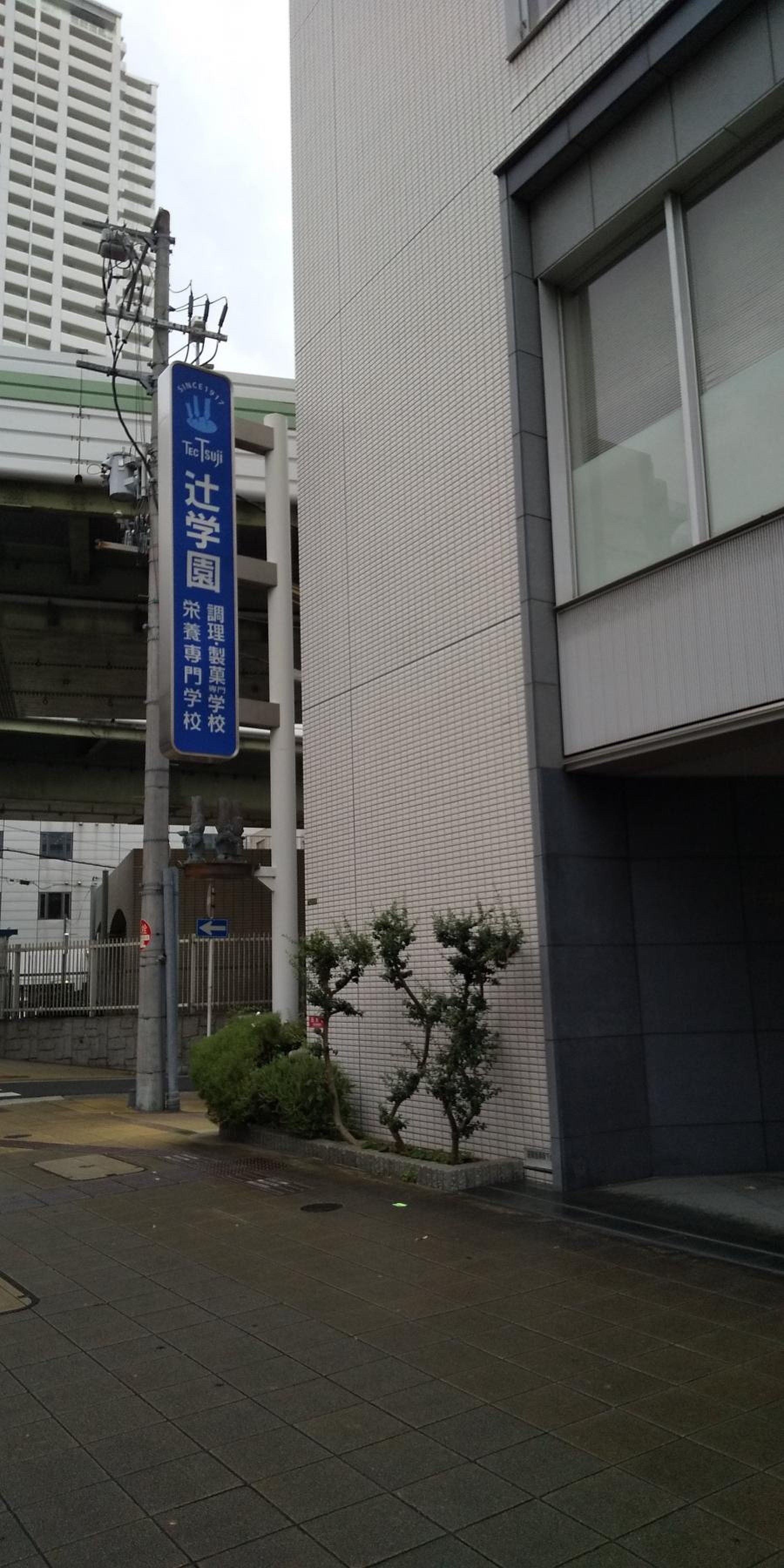 辻 学園 栄養 専門 学校