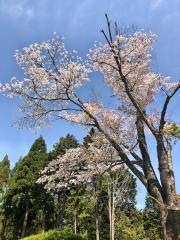 高槻カントリー倶楽部