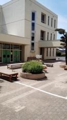 千鳥小学校