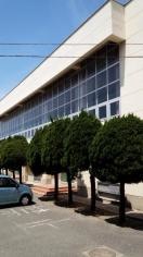 千鳥小学校